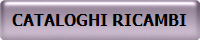 CATALOGHI RICAMBI
